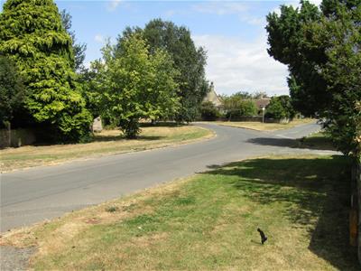 Picture 26